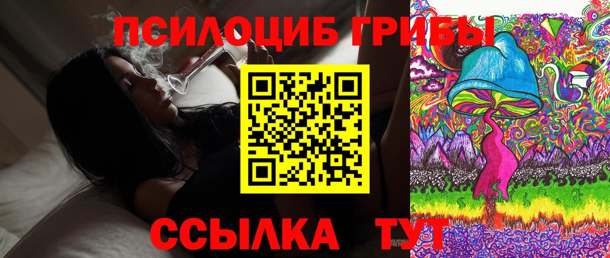 Галлюциногенные грибы мицелий Черемхово