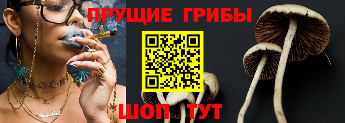Черемхово  Галлюциногенные грибы MAGIC MUSHROOMS  Вход с VPN 